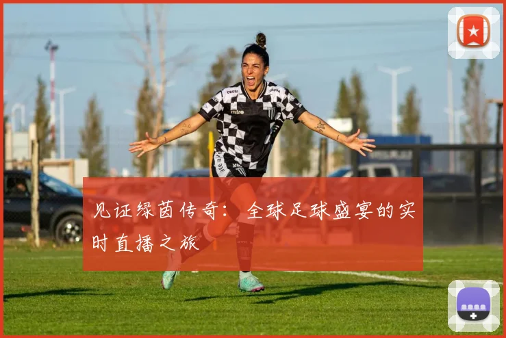 见证绿茵传奇：全球足球盛宴的实时直播之旅